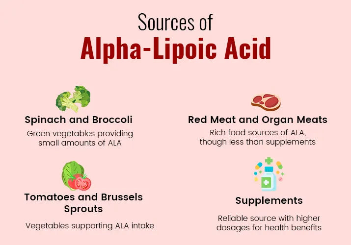 Sources of Alpha-Lipoic Acid