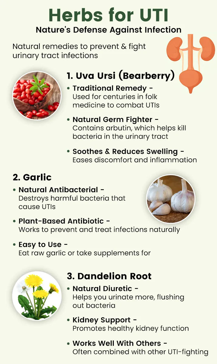 Herbs for UTI