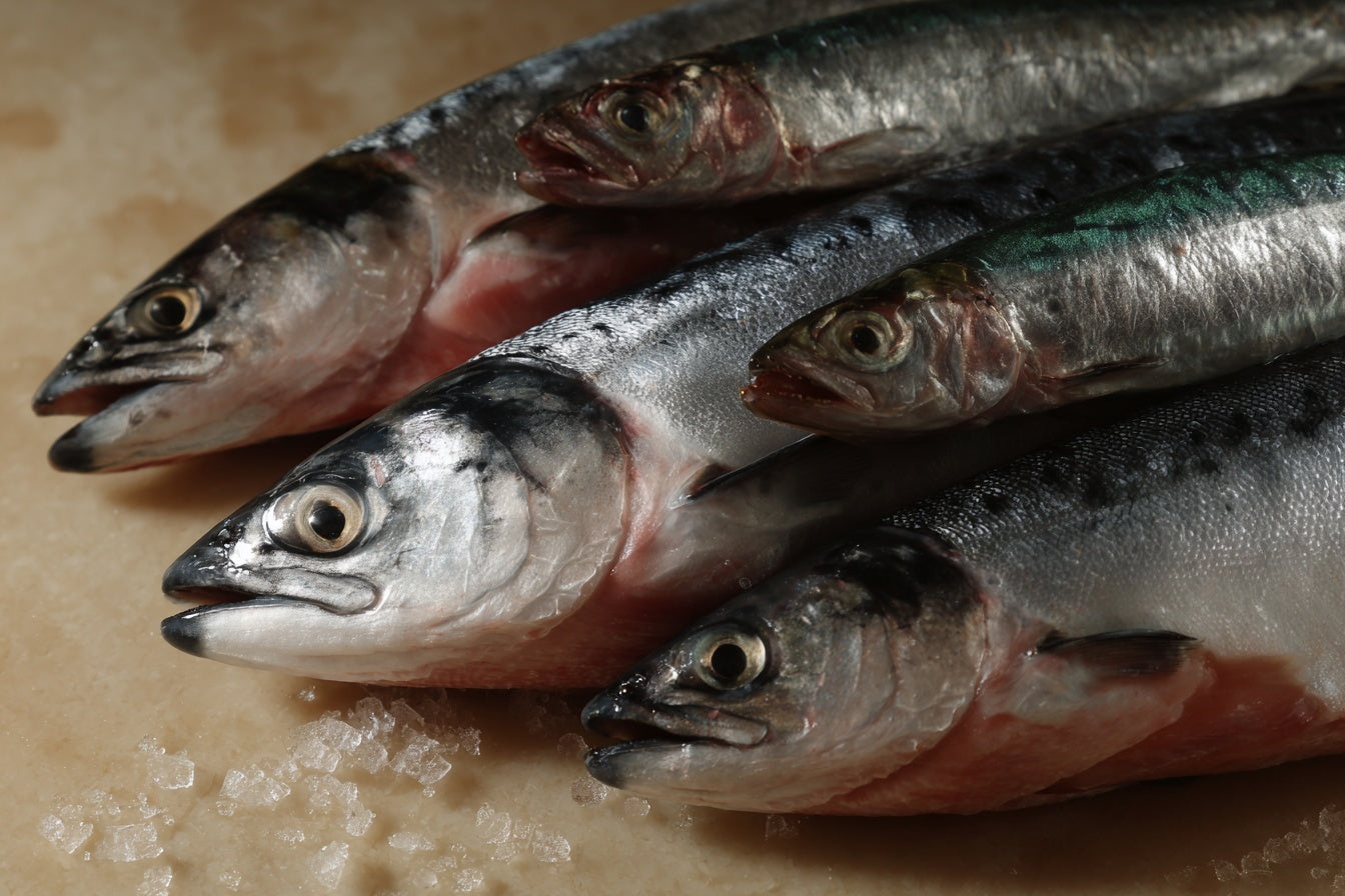 Omega-3 EPA and DHA Explained for Daily Health Support