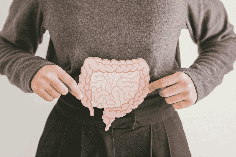 Gut–Brain Axis Explained: How Digestion Affects Mood