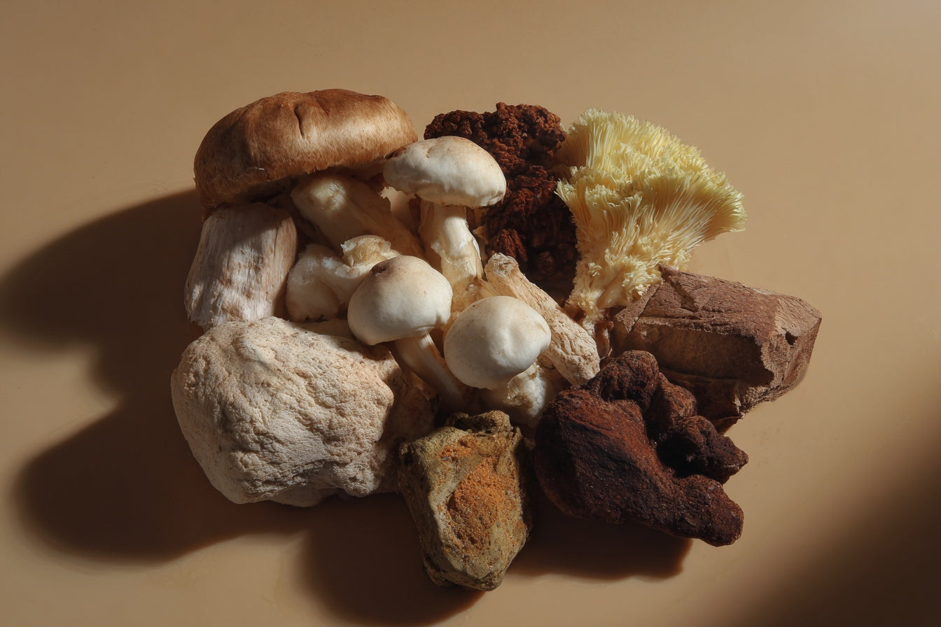 Functional Mushroom Extracts with Modern Research Behind Them