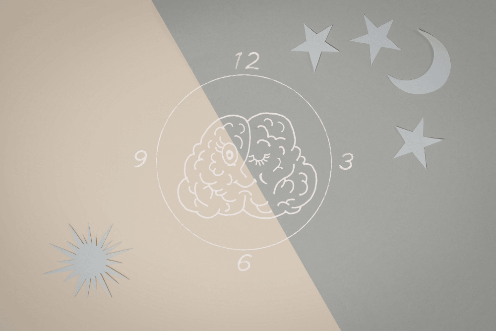 The Guide to Sleep and Recovery