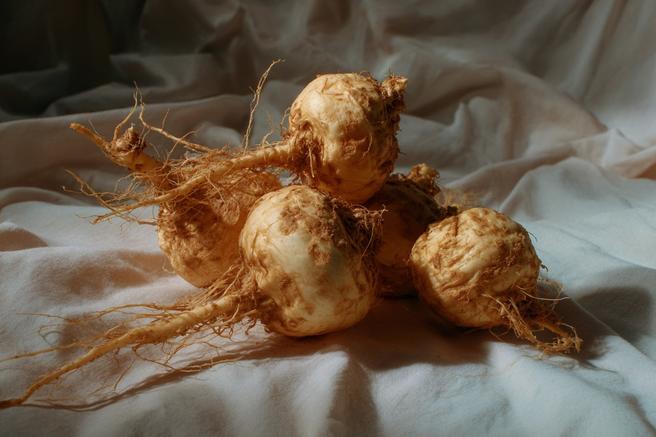 Maca Root for Daily Rituals, Smoothies, and Wellness Blends