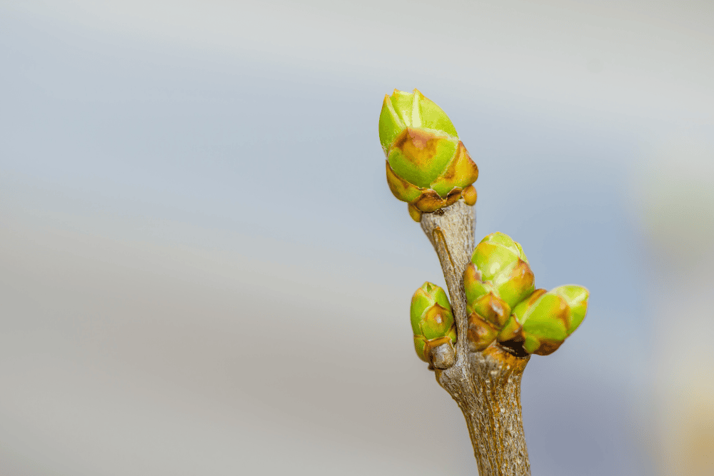 Your Spring Wellness Reset: 6 Small Shifts That Actually Stick